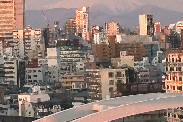 Mt Fuji Sightseeing Private tour with English Speaking Guide