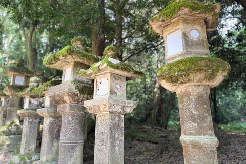 Nara : Les points forts de Nara en 3 heures - Visite guidée