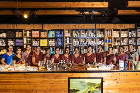 Kandy: Royal Botanical Garden & Tea Factory Tour Pick & Drop Without Entry Ticket in Royal Botanical Garden