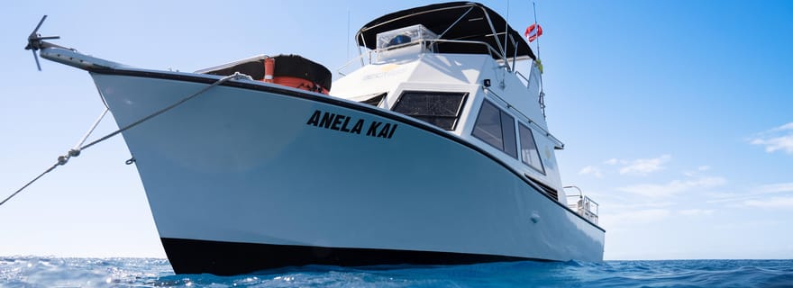 Kauai : Plongée en bateau à 3 bouteilles pour les plongeurs certifiés