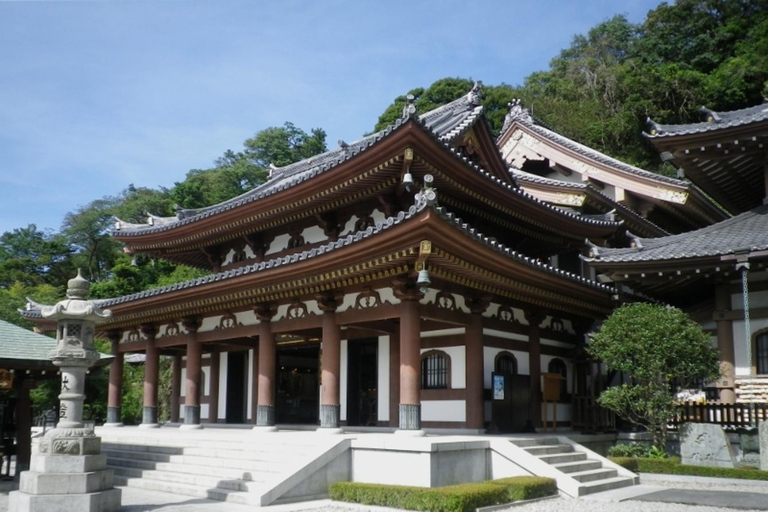 Tokyo: Kamakura One-Day Private Customizable Tour Tokyo: Kamakura One Day Private Customizable Tour