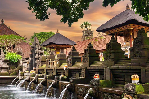 Ubud Tour: Monkey Forest, Tegalalang Rice Terrace, & temple