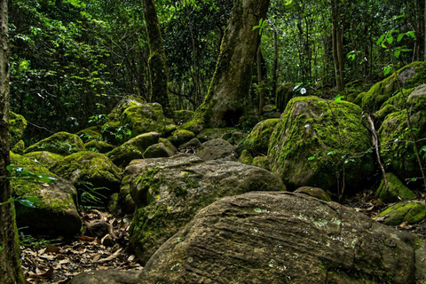 Sigiriya: Ritigala Hike, Village Tour, and Cooking Class Sigiriya : Ritigala Hike & Village Tour with Cooking & Lunch