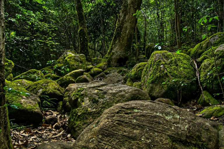 Sigiriya: Ritigala Hike, Village Tour, and Cooking Class Sigiriya : Ritigala Hike & Village Tour with Cooking & Lunch