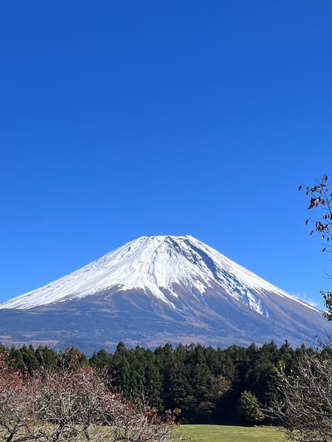 富士山：2 日登山之旅| GetYourGuide