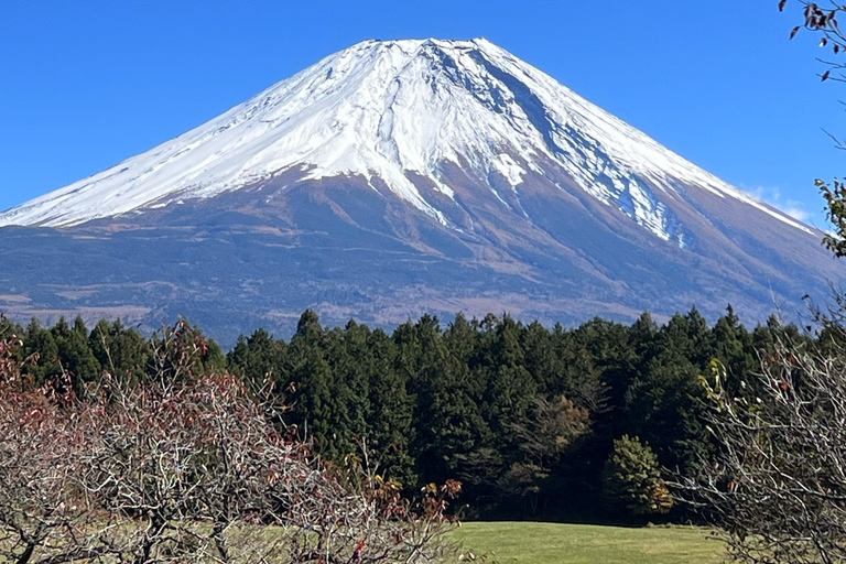 Mt. Fuji: 2-Day Climbing Tour