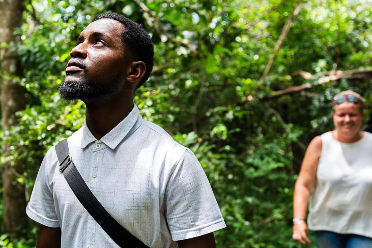 Zanzibar: Secret Beach, Kuza Cave e Jozani con trasferimentoSpiaggia Segreta, Grotta di Kuza e foresta di Jozani con trasferimento