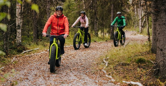 Levi: E-Fatbike Adventure in the Arctic Autumn Forest