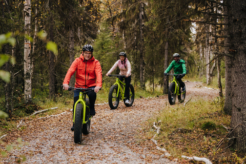Levi: Reindeer Trails E-Fatbike Adventure