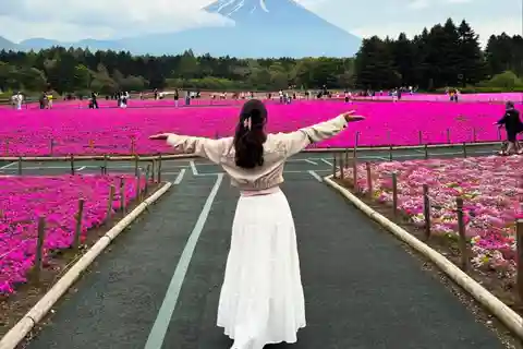 Tokyo: Private Day Tour to Mount Fuji with English Driver