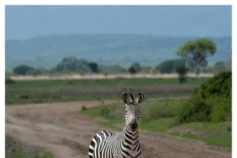 Day Trip Safari from zanzibar to mikumi using ferry and car