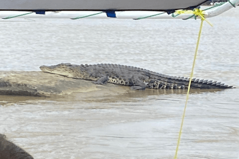 From Mirissa: Nilwala River Private Crocodile Watching Tour