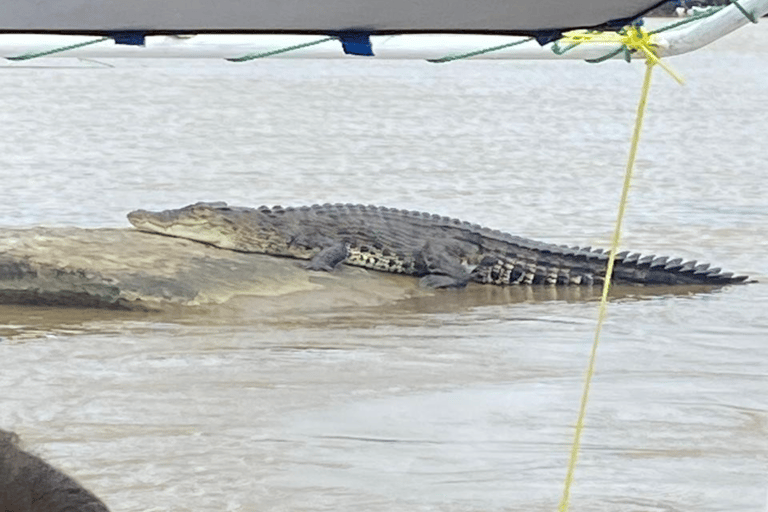From Mirissa: Nilwala River Private Crocodile Watching Tour
