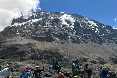 Kilimanjaro: Mandara Hut dagwandeling vanuit Moshi