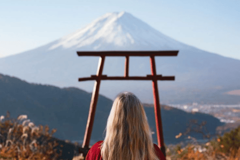 From Tokyo: Mount Fuji Private Customizable Tour with Guide
