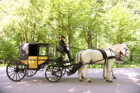 Viyana Porselen Turu - Yetişkinler için gizli bir Prater fayton turu