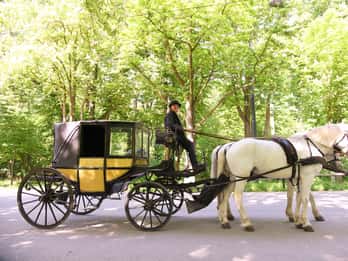 Wiener Porzellanfuhre - Eine diskrete Prater-Kutschenfahrt für Erwachsene