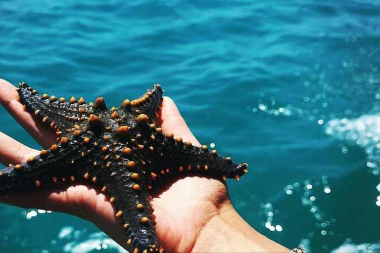 Safari Blue Zanzibar: snorkelavontuur met lunch