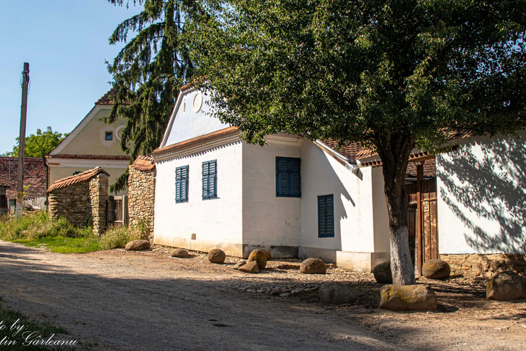 Brasov: Sighisoara & Viscri Village Private Tour