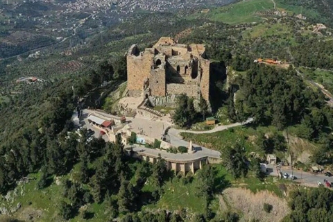 Dagtocht: Jerash en Ajloun kasteel vanuit AmmanDagtour: Jerash - Kasteel Ajloun vanuit Amman