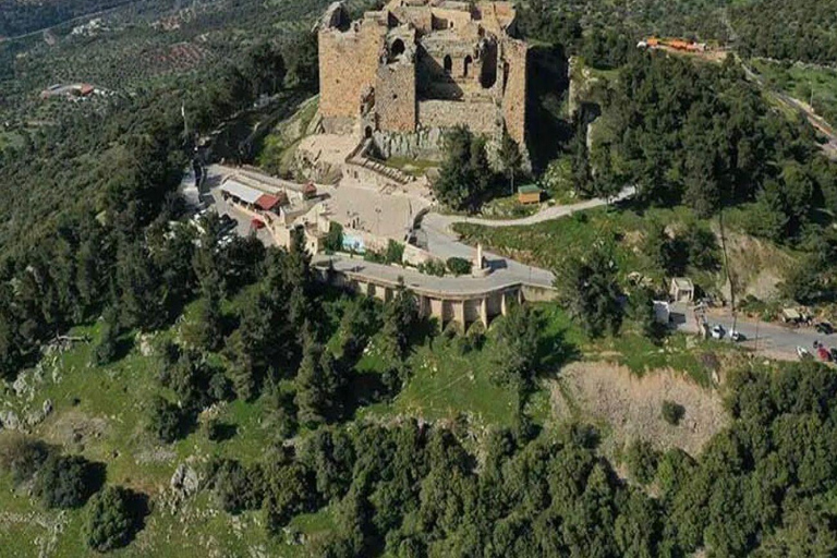 Excursión de un día: Jerash y el castillo de Ajloun Desde AmmánExcursión de un día: Jerash - Castillo de Ajloun Desde Ammán