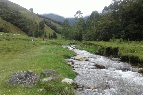 Medellin: Amazing Arvi Natural Reserve