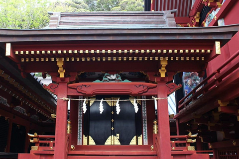 Tokyo: City Full-Day Private Scenic Tour With English Guide