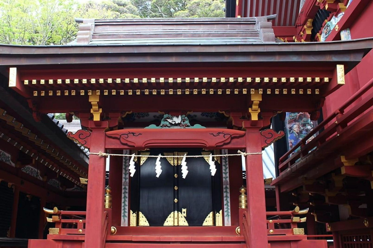 Tokyo: City Full-Day Private Scenic Tour With English Guide