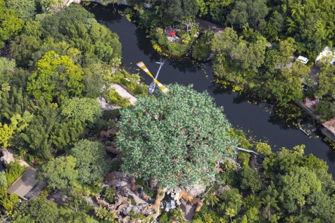 Orlando: vuelo narrado en helicóptero sobre parques temáticos18-20 minutos (parques temáticos)
