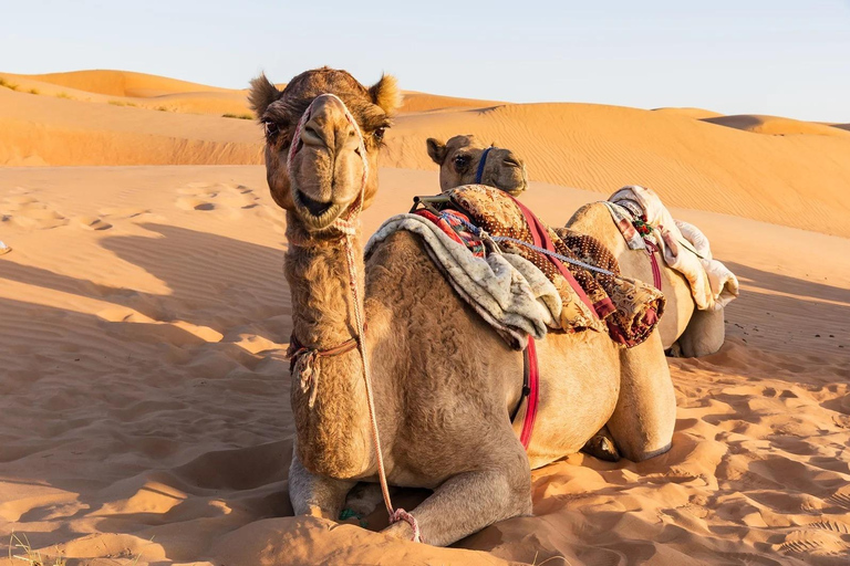 From Hammamet: Southern Tunisia Tour with Overnight Stay in the Desert From Hammamet: South Tunisia Tour with Overnight Stay in Desert