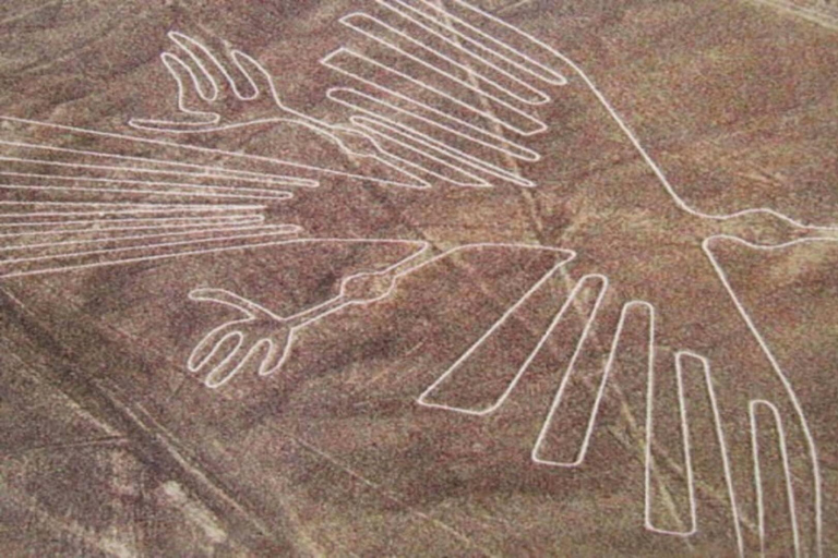 Desde Ica: vuelo sobre las Líneas de Nazca con traslado en autobús