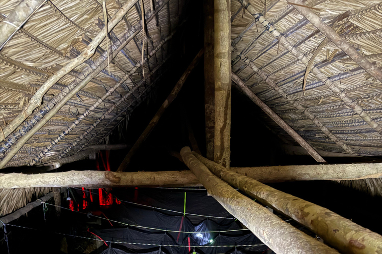 Presidente Figueiredo: Jungle Lodge Immersion in the Amazon (2–4 days) Full Jungle Lodge Experience in the Amazon (2 days and 1 night)