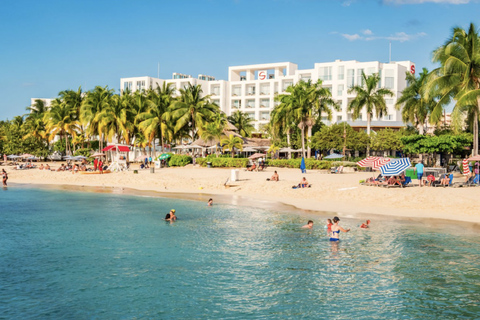 Från Ocho Rios: Delad enkelriktad transfer till Montego Bay