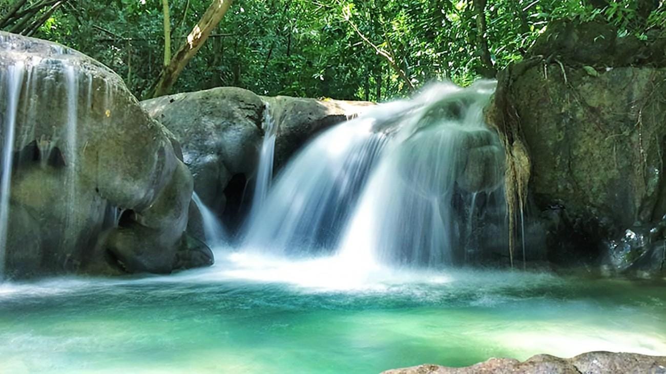 Mayfield Falls River Walk mit privatem Transport