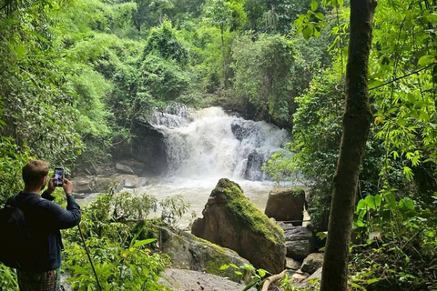 Chiang Mai: 1-Day Jungle Trekking in the Doi Inthanon Area