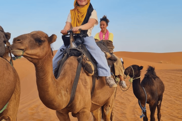 من فاس: رحلة ذهاب وعودة لمدة يومين عبر صحراء مرزوقة وركوب الجمالخيار الجولة المشتركة