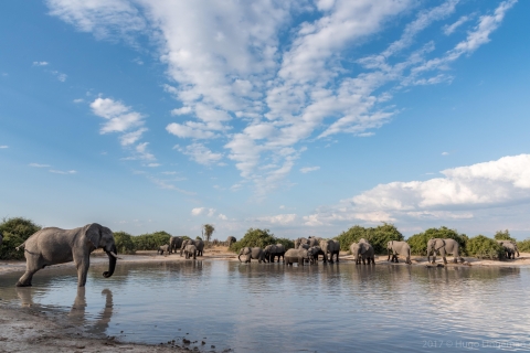 De Livingstone et Victoria Falls: Rafting et safariDe Livingstone: Rafting en eau vive + Safari Chobe