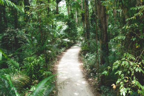 Zanzibar; Zipline Adventure & Explore Masingini Forest.