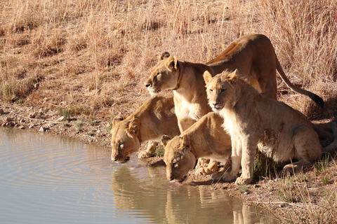 From Zanzibar: 2-Day Selous Safari with Flights & Lodge Stay 2-Day Selous Safari - Without Transfer