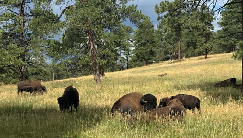 Denver: City Highlights, Golden, and Lookout Mountain