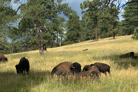 Denver: City Highlights, Golden, and Lookout Mountain