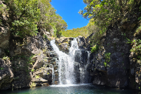 Madeira: Pico do Arieiro Sunrise, Waterfalls, and Fanal Trip