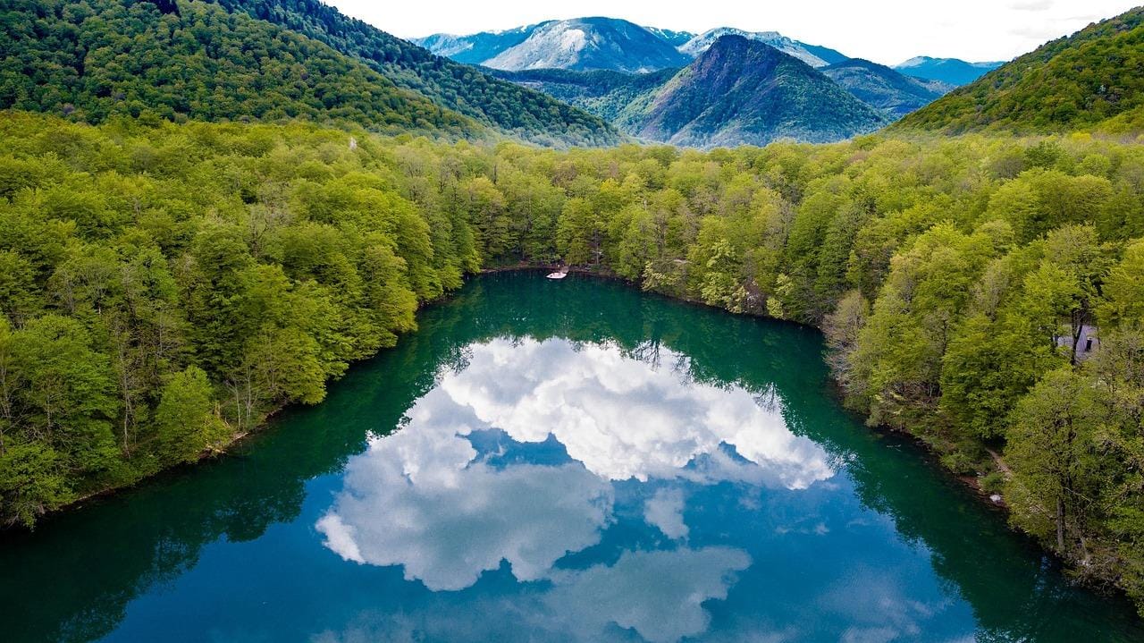 Nationalpark Biogradska Gora: Tagestour durch den Ur-Regenwald