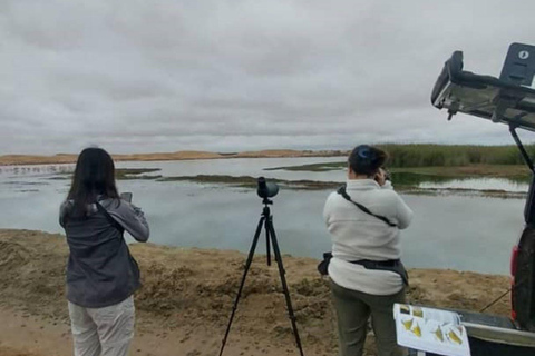 Walvis Bay: Vogels kijken en fotograferen