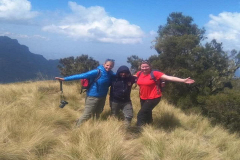 Addis Ababa: Simien Mountains 10-Day Trekking Tour 10-Day Full Simien Trek with Ras Dashen Summit (Camping)