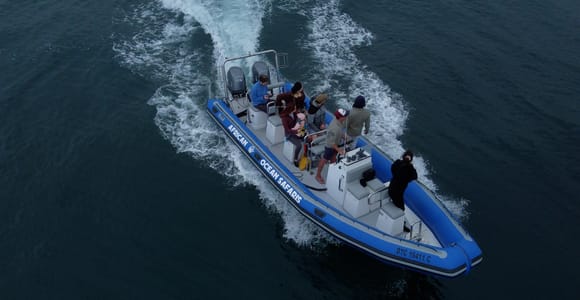 Cape Town: Marine Biologist-Led Safari Tour - V&A Waterfront