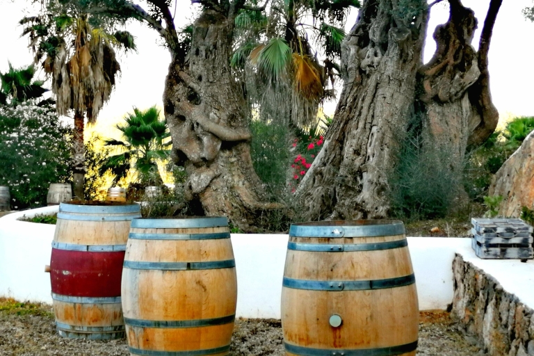 Cata de vinos tradicionales de Ibiza y visita culturalTour privado de cata de vinos