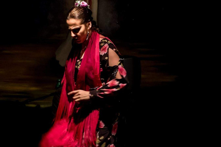 Granada: Authentic Flamenco Show at Venta El Gallo + 1 Drink Flamenco Show with Dinner
