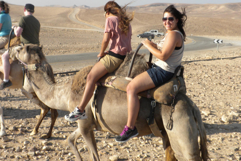 Agadir: Paseo en camello con té y traslados