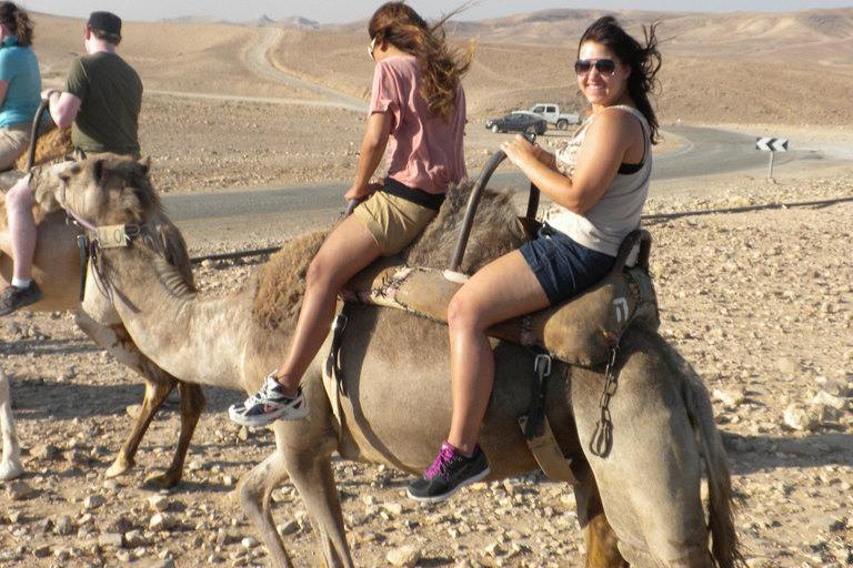 Agadir: Paseo en camello con té y traslados